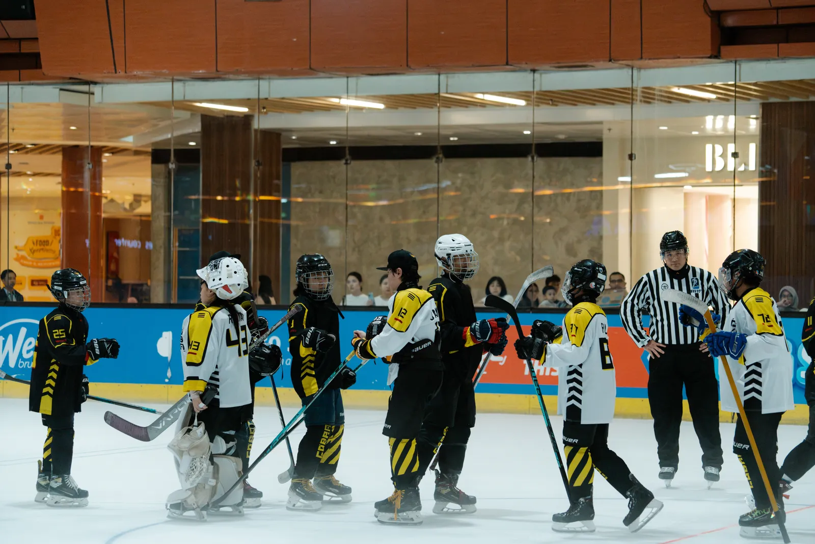 BX Rink