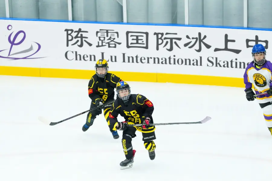 Chen Lu Cup 2026, photo 3