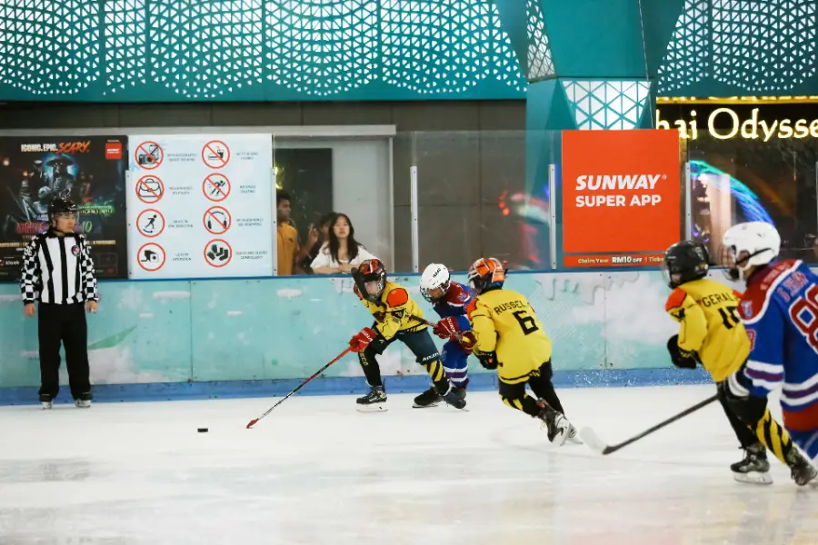 Frozen Faceoff 2024, photo 8
