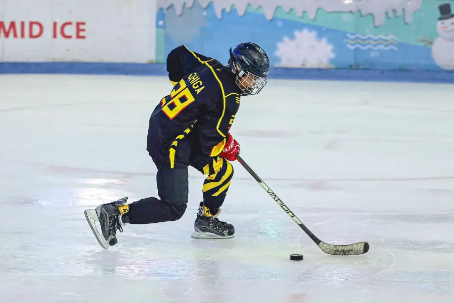 Frozen Faceoff 2025, photo 2
