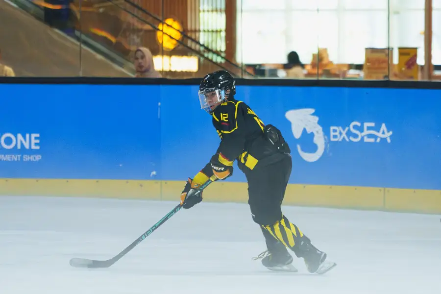 Golden Cobras Showcase 2026, photo 4