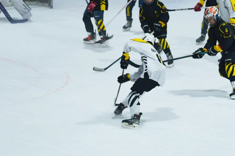Golden Cobras Showcase 2026, photo 6
