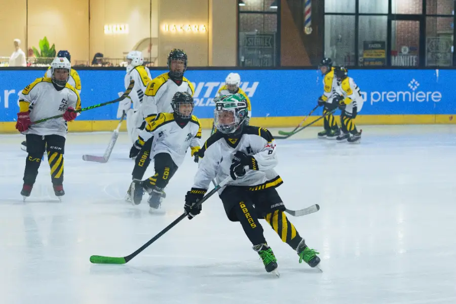 Golden Cobras Showcase 2026, photo 10