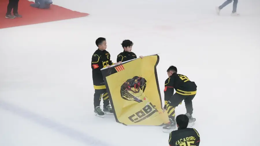 Johor Ice Hockey Tournament 2025, photo 3