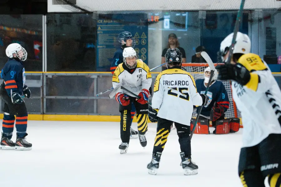 Johor Ice Hockey Tournament 2026, photo 2