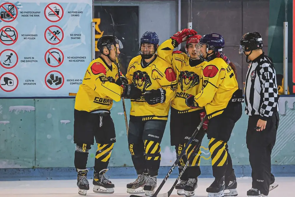 Incredible Journey at Frozen Faceoff Tournament 2024, photo 3